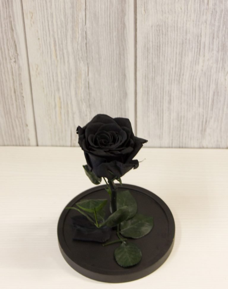 Forever Rose Μαύρο